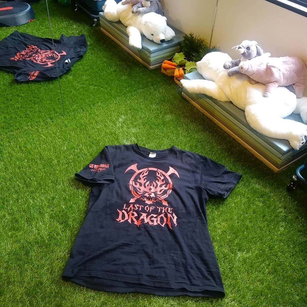 ぢゃいこさんのインスタグラム写真 - (ぢゃいこInstagram)「二日連続のGYM FIELDでのトレーニング。 昨日はTHE DRAGON Tシャツ🐲 今日はブラックめんそーれTシャーーーッ！ツ🐍 プロレスラーTシャツでトレーニングすると、私も あんな身体になるんだ💪って、更に追い込める気がする!!!!! しかし、、ふくらはぎ痛い‥裏もも痛い‥背中痛い‥胸痛い‥腕痛い‥‥ 久々の 各所にわたる筋肉痛地獄。。。 この痛みを乗り越えて、大きくなるのだ✨💪 #鷹木信悟 　#ブラックめんそーれ #新日本プロレス　#全日本プロレス #プロレス　#プロレスTシャツ #GYMFIELD #ジムフィールド #ジム  #トレーニング #パーソナルジム #パーソナルトレーニング #バルクアップ #肉体改造 #筋トレ女子 #筋肉女子 #筋トレ #筋肉」12月4日 17時33分 - dyaimeshi