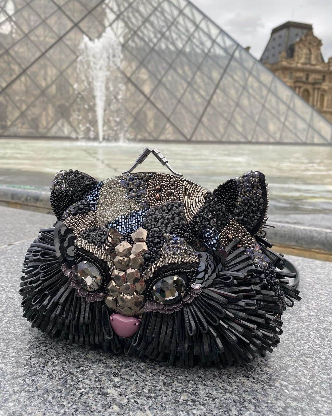 ジャマンピュエッシュのインスタグラム：「A black cat walking around the streets of Paris.」
