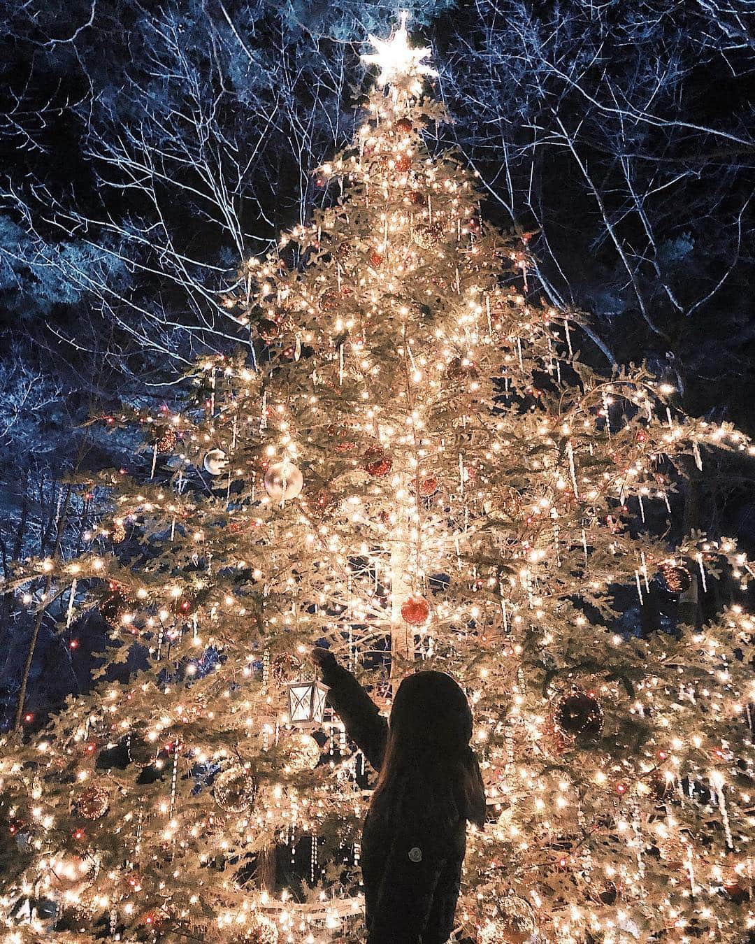 MERYさんのインスタグラム写真 - (MERYInstagram)「. 都会の喧騒から離れた自然の中で素敵なクリスマスを過ごすなら、長野県の軽井沢にある『軽井沢高原教会 @karuizawa_kogenchurch 』で2019年12月1日（日） ～12月25日（水）の期間中に行われる「星降る森のクリスマス 2019」へ足を運んでみてはいかがでしょうか？ . 教会の森の中でランタンキャンドルが織りなすあたたかな光と輝く星空に包まれ、ロマンティックなムードになること間違いなし♡ 自然の中にやさしい光が灯った、都会では味わえないクリスマスをぜひ体験してみて。 . MERYでは他にも「かわいい」に近づくさまざまな情報を発信しています。 @mery.beauty コスメ・美容に特化した情報をお届け♡ @mery_spot 話題のカフェやお出かけスポットをご紹介！ こちらもぜひチェックしてみてください！ . . photo by @ym_trip @lilylily_27 @1203ema . #MERY #regram #illumination #christmas #Christmastree #church #candlenight #candle #軽井沢高原教会 #キャンドルナイト #軽井沢高原教会キャンドルナイト #クリスマス #クリスマスツリー #イルミネーション #クリスマスイルミネーション #軽井沢 #軽井沢旅行 #軽井沢観光 #長野県 #長野県旅行 #長野県観光 #クリスマスデート #クリスマス #教会 #デート #ホワイトクリスマスツリー #お洒落 #お洒落さんと繋がりたい #MERY女子 #メリー」12月4日 18時00分 - mery.jp