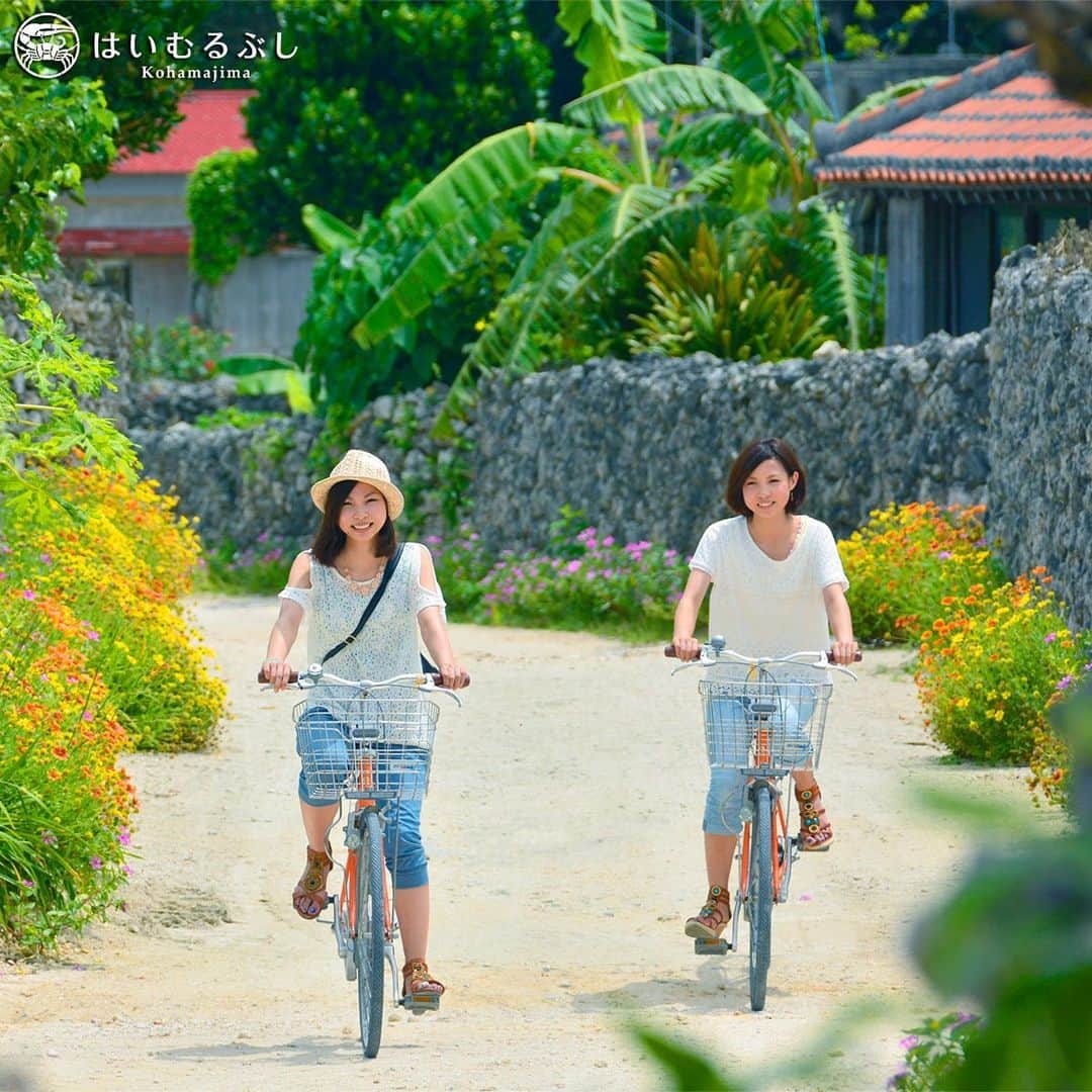HAIMURUBUSHI はいむるぶしさんのインスタグラム写真 - (HAIMURUBUSHI はいむるぶしInstagram)「一年中色鮮やかな南国の花々が咲き誇る島で島チャリ散歩… 自分たちのペースで島内を巡ります。 #沖縄 #八重山諸島 #竹富島 #自転車 #サイクリング #島チャリ散歩 #花 #小浜島 #リゾート #ホテル #はいむるぶし #japan #okinawa #yaeyamaislands #taketomiisland #cycling #flower #kohamajima #beachresort #haimurubushi」12月4日 18時11分 - haimurubushi_resorts