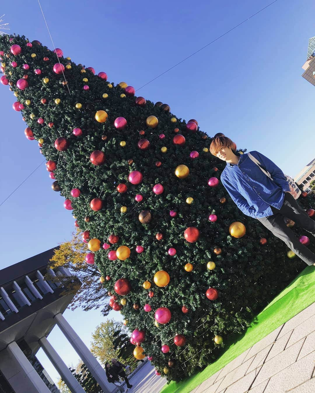 日本工学院さんのインスタグラム写真 - (日本工学院Instagram)「お昼も素敵に、クリスマスムード漂う日本工学院！ ツリーと一緒に２ショット！爽やかですね🌲 ☆学生投稿写真☆ 「#日本工学院」をチェック！！学生が投稿したリアルな日常風景を見ることができますよ！  #nihonkogakuin #専門学校 #日本工学院八王子専門学校 #日本工学院専門学校 #学生投稿写真 #工学院 #けしからん風景 #イルミネーション #イルミネーション2019 #クリスマス#ツリー #クリスマスイルミネーション #クリスマスイルミネーション2019 #イルミネーション #キャンパス#デート #ロマンティック #人間#小さく見える #フォトジェニック#校舎 #くぼこー」12月4日 18時15分 - nihonkogakuin