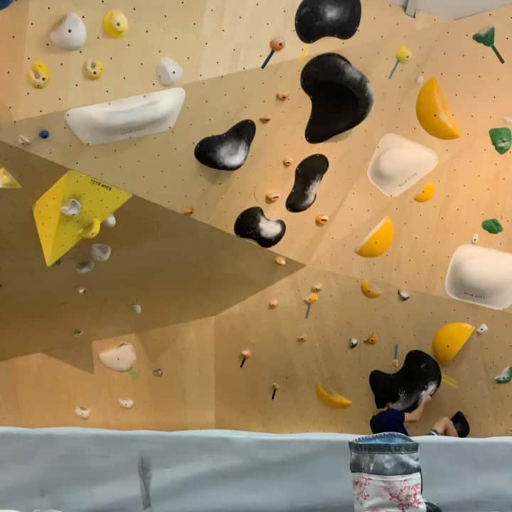 大高伽弥のインスタグラム：「“The rolling legs” Double Dyno @boulderpark_basecamp  激しい動きも慣れてきてなかなか良き。 仕上がってるよ、仕上がってるよ  @tokyopowder @eyecandyworks #緑風堂鍼灸院 @squadraholds #お願いマッスルめっちゃ痩せたい #3段できません」