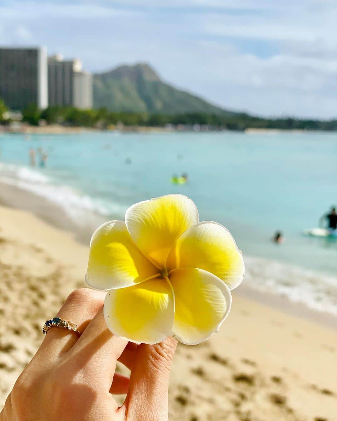 尾崎ありささんのインスタグラム写真 - (尾崎ありさInstagram)「Plumeria💛﻿ ﻿ ﻿ ﻿ ﻿ ﻿ #waikikibeach #beach #travel #sea #love #amazing #blue #hawaii #sky #trip #traveler #flower #bluesky #waikiki #vacation #summer #beautiful #ハワイ #ワイキキ #旅行 #ハワイ旅行 #海 #plumeria #プルメリア #東カレ倶楽部 #旅 #旅スタグラム #ビーチ #ハワイ好きな人と繋がりたい #ハワイ好き」12月4日 18時59分 - also1219