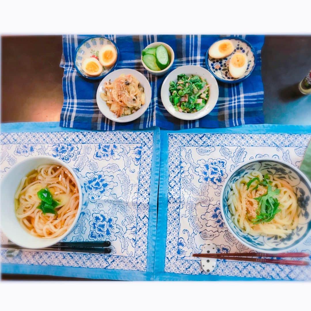 今村美乃さんのインスタグラム写真 - (今村美乃Instagram)「#よしのキッチン﻿ ﻿ ここ最近はお弁当旦那さんいらないので、自分用に適当な弁当を作っております…笑﻿ やっぱり自分のためにはあんまり頑張れないね😅﻿ ﻿ この日はお昼ご飯は家で食べれたので、﻿ #松山旅行　で買った讃岐うどんにしました！﻿ その土地で買ったものは﻿ おいしい😆😆😆😆😆﻿ ﻿ 最近旦那氏疲れてるのか、﻿ ネットで同じものを二つ買っちゃう﻿ が連続してて、﻿ ﻿ 毎朝ピンポーン‼️﻿ お届けものでーす。﻿ ﻿ ガサゴソ…えっ…昨日もきた気が……﻿ っていう謎が発生しております。笑﻿ ドンマイ…﻿ お皿もマットも頂き物ばかり！本当にありがとうございます。お箸は🥢レオ君からいただきました🎀 ﻿ #共働きごはん　#おうちごはん　#お家お昼ごはん」12月5日 0時53分 - imamurayoshino