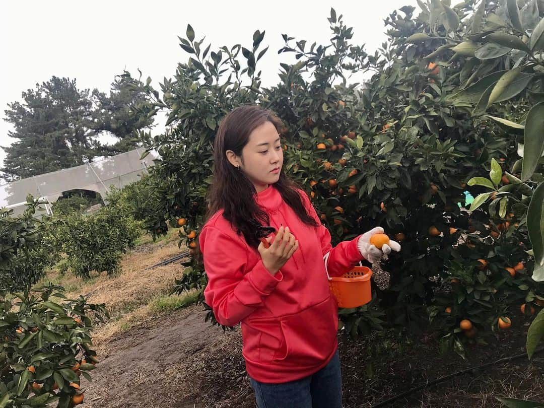 ガユンさんのインスタグラム写真 - (ガユンInstagram)「🍊」12月4日 20時01分 - gayoon_heo