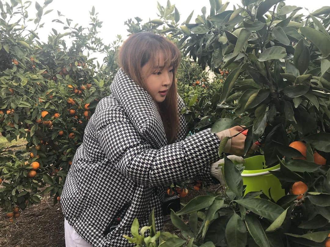 チョン・ジユンのインスタグラム：「귤사세여 히히 🍊」