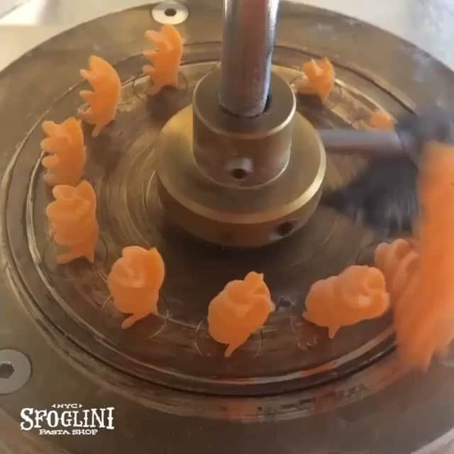 エイミー・セダリスのインスタグラム