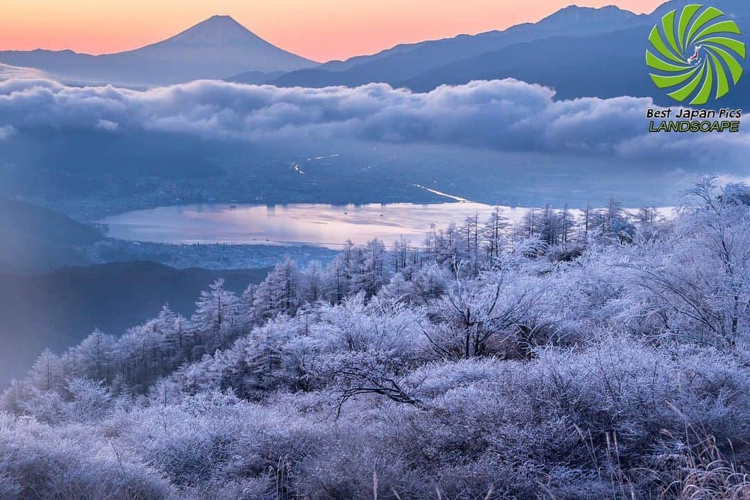 Follow & use #bestjapanpicsさんのインスタグラム写真 - (Follow & use #bestjapanpicsInstagram)「👑TODAY'S bestjapanpics👑 . 🎌 CONGRATS to @tsukasa_camera 🎌 日本で撮られた素敵なお写真へのタグ付けありがとうございます🗻✨ . 📷 chosen by @yy.o_o (Mod) FOUNDER: @quelmarietto  LOCALITY: 長野県 CATEGORY: #しあわせ信州 #霧氷 #高ボッチ高原 . . •follow us @bestjapanpics_ . •use #bestjapanpics . 撮影地の都道府県をキャプション・コメントタグ・ジオタグのいずれかに入れて下さい。 . @bestjapanpics_ では、日本で撮られた素敵なお写真へのタグ付けをお待ちしています✨ . Select the amazing photos every day. ダグ付けをして頂いた中から、毎日素晴らしい写真を選出させていただきます👑 . We'd appreciate a : • REPOST or SCREEN 📷 . 🎌support community🎌 @factory_shotz 工場の写真. follow & tag : factory_shotz. . @setouchi_gram 瀬戸内の魅力を. . Group is . @bestpics_community . @bestworldpics__ . . THANKS A LOT‼😊🏆👏 . #JAPAN #日本 #風景 #夕焼け #夜景 #海 #自然 #モノクロ #ポートレート . #art_of_japan_ #as_archive #daily_photo_jpn #icu_japan #jp_gallery #kids_japan #phos_japan #picture_to_keep #ray_moment #s_shot #kf_gallery」12月4日 20時29分 - bestjapanpics_