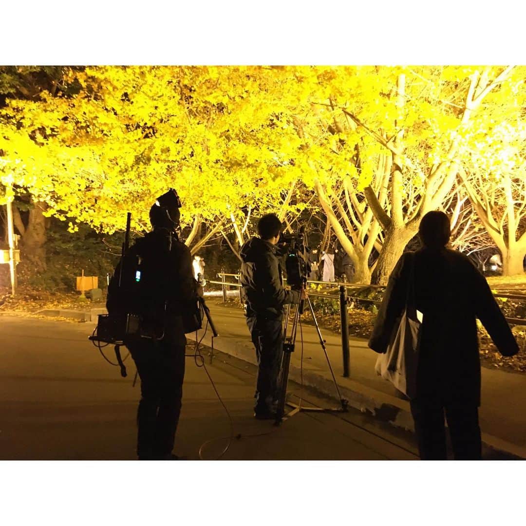森万由子さんのインスタグラム写真 - (森万由子Instagram)「🍂垂水市 千本イチョウ園🍂 . #かごしま4 と#MBCニューズナウ で中継をお送りしました。 . ライトアップは今週末 8日(日)まで、午後6時〜9時の間行われています✨ . 昼と夜で景色の印象が変わるので、眺めているとあっという間に時間が過ぎますね〜☺️ . . #鹿児島 #垂水市 #千本イチョウ #紅葉 #イチョウ #垂水千本イチョウ #mbcテレビ」12月4日 20時45分 - mayukomori0411