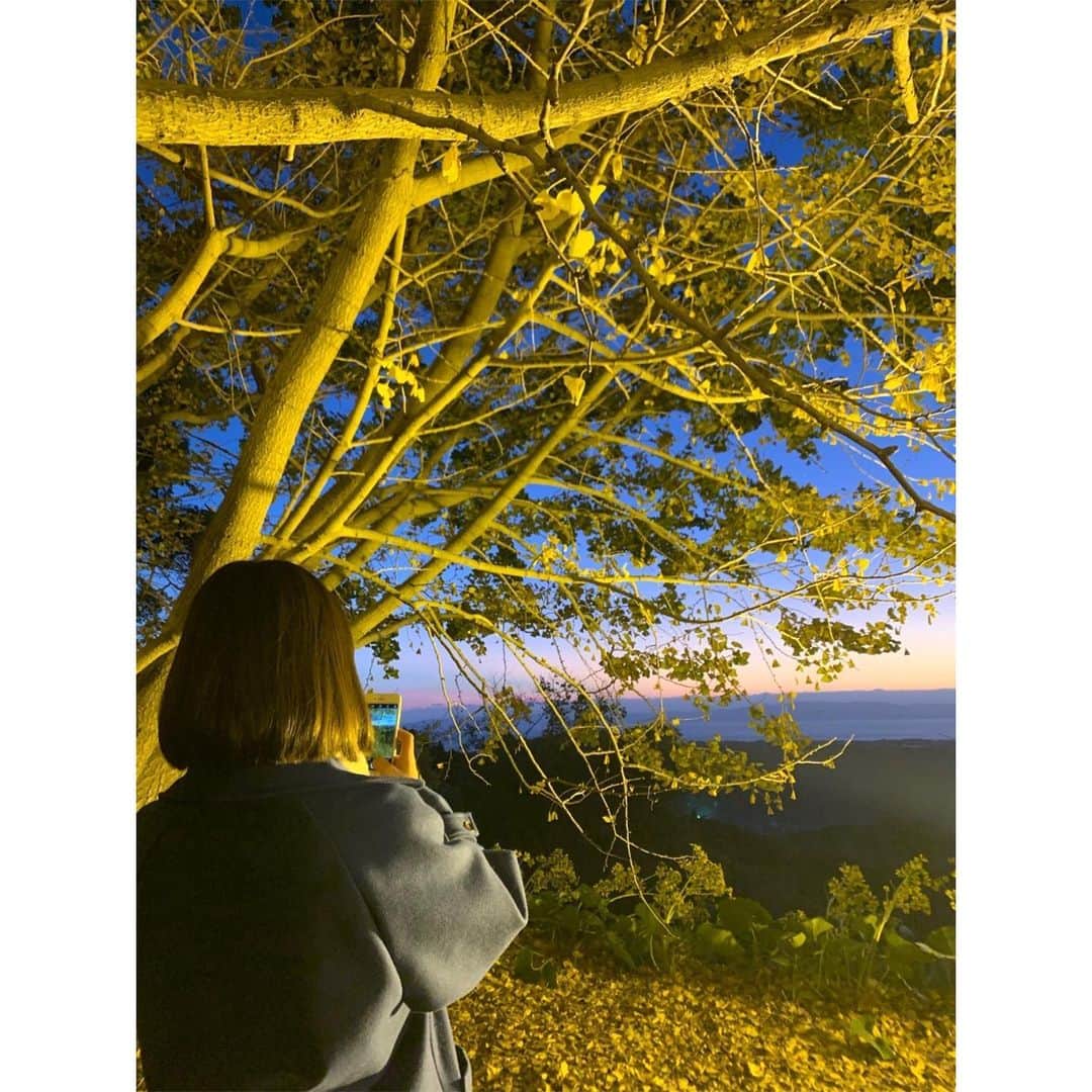 森万由子さんのインスタグラム写真 - (森万由子Instagram)「🍂垂水市 千本イチョウ園🍂 . #かごしま4 と#MBCニューズナウ で中継をお送りしました。 . ライトアップは今週末 8日(日)まで、午後6時〜9時の間行われています✨ . 昼と夜で景色の印象が変わるので、眺めているとあっという間に時間が過ぎますね〜☺️ . . #鹿児島 #垂水市 #千本イチョウ #紅葉 #イチョウ #垂水千本イチョウ #mbcテレビ」12月4日 20時45分 - mayukomori0411