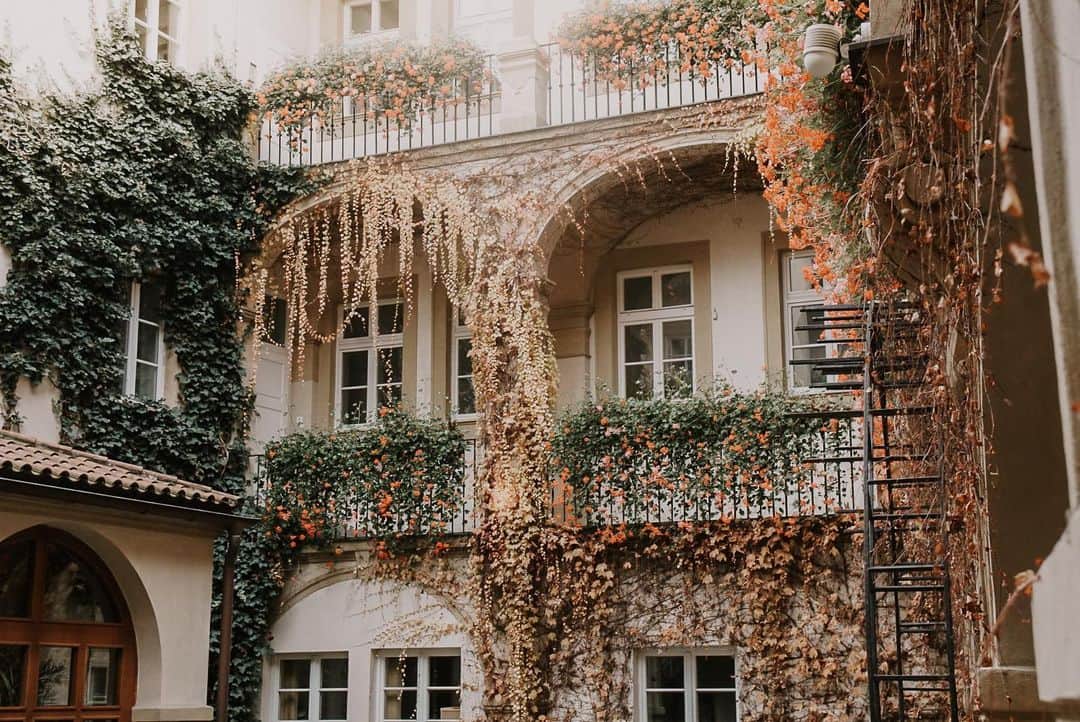 ケルシー・ロビンソンのインスタグラム：「Dreamy balcony details ✨」