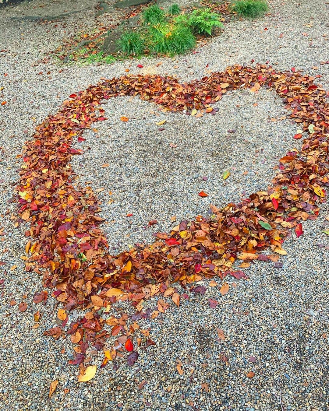 稲富菜穂さんのインスタグラム写真 - (稲富菜穂Instagram)「石清水八幡宮の紅葉も綺麗でした🍁. . ここの展望台で見る景色は最高✌️. 今は紅葉たちが落ちて赤い絨毯になってそう🥰❣️. また見に行きたいなぁ😌🍁💨. . #石清水八幡宮 #石清水八幡宮⛩️ #京都 #紅葉 #展望台 #とても綺麗でした」12月4日 21時33分 - inatomi74