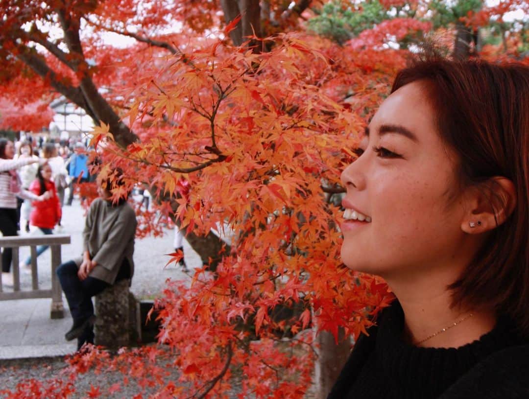 須田なつきさんのインスタグラム写真 - (須田なつきInstagram)「先月オフの時間を使って念願の初京都へ行ってきました😊 ちゃんとした紅葉を見るのが人生で初めてだったので とても感動しました❤️✨今回は急遽決まった弾丸旅だったのでいつかゆっくり行きたいな☺️ 一緒に行ってくれたさりあーちゃんありがとう！！ #Kyoto #京都」12月4日 21時39分 - natsukisuda_