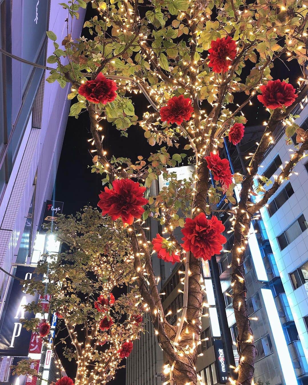 Fleur Fleurのグルメインスタ