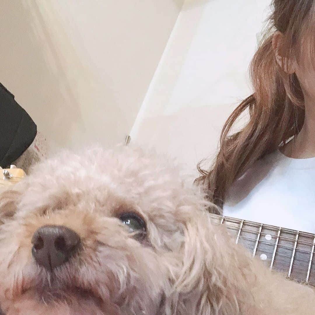 のインスタグラム：「こんばんは ４日遅れの月記です 待ってた？待ってなかった？ どっちでも、 ごめんなさい（大声） ・ もう12月なんだね、、はや。。。 11月の月記いきます🤘 ・ 11月はどんどん寒くなってきて、 寒いの本気で苦手なちぃはカイロを貼りまくってます。 授業中とか寒いからさ、 靴下にも貼るよね。 この間、物凄く寒い日 耐えられなくて お腹の前後と左右に貼って完全にあったまるようにしたら 流石に暑過ぎてやばい低温火傷なると思ってすぐに外しました。 みんなもカイロの貼り過ぎには気をつけてね…。 ・ なんか、11月の月記 内容薄くない？笑笑 どうしよう笑 ・ うぅ〜〜ん。 ・ 11月思ってたのはね、 自分のことをもっと好きでいたいなあってことかなあ 自分のことが嫌いでコンプレックスばかり気にするよりも少しでも自分の許せるところとか好きなところに目をつけて 過ごしていた方が 毎日きっと楽しいしね！！ しかも ちぃのことを好きでこんなに応援してくれてる人がいるのに自分が自分を嫌いじゃあ、 失礼だし好きでいてもらう資格無くなっちゃうからね！ 活動していない今でも、本当にいつもいつもありがとう！ ちぃもみんなの日々を応援してるから、みんなが自分のことをもっと好きになって毎日楽しくなったら嬉ピーです🤟 自己肯定感のパワーってすごい🔥 ・ てな感じで、12月も楽しくなりますように😏 ・ ・ ・ #今月の鈴木千夏」