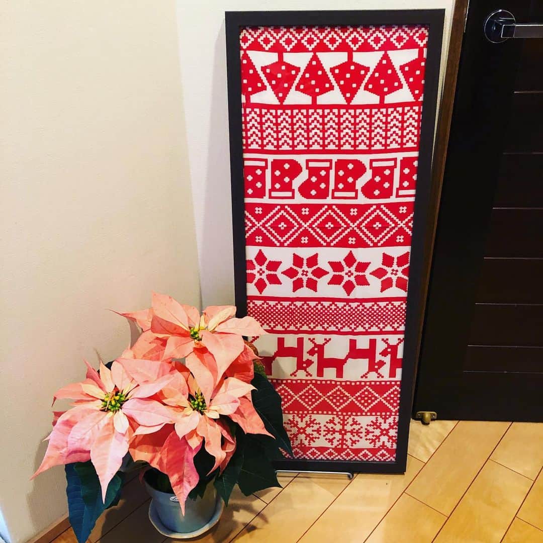 南早苗のインスタグラム：「我が家もクリスマス色が増してきました🎄 #xmas  #手ぬぐい #手ぬぐいlover」