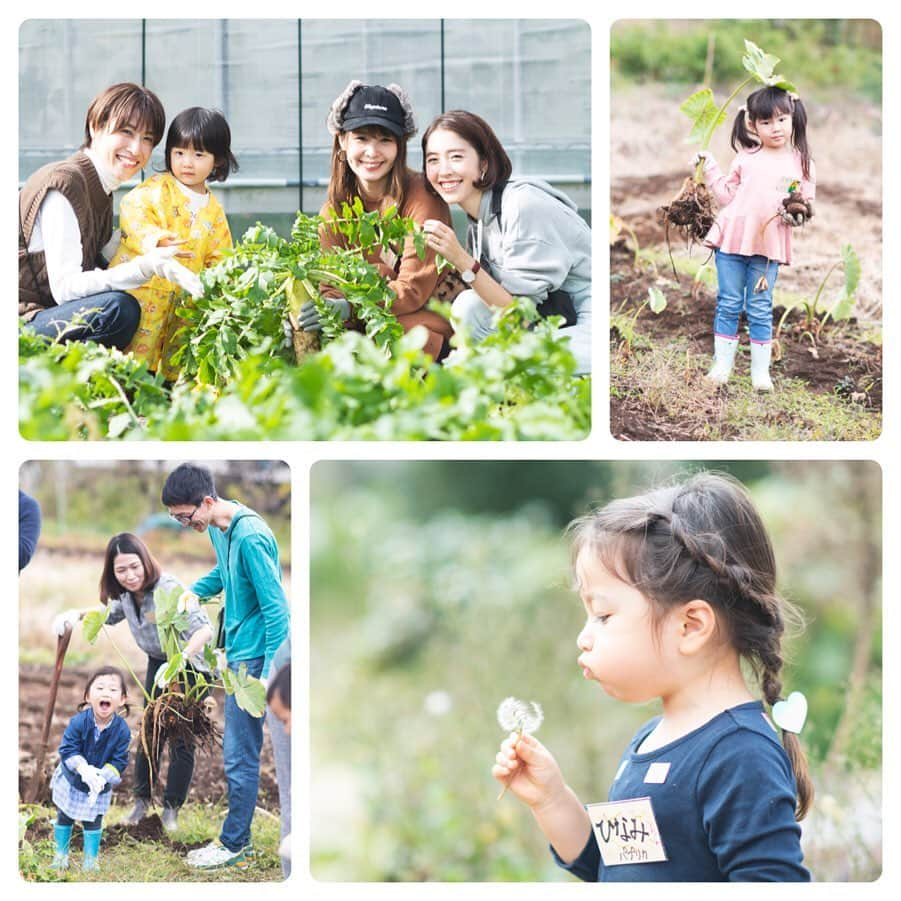 菅野広恵のインスタグラム