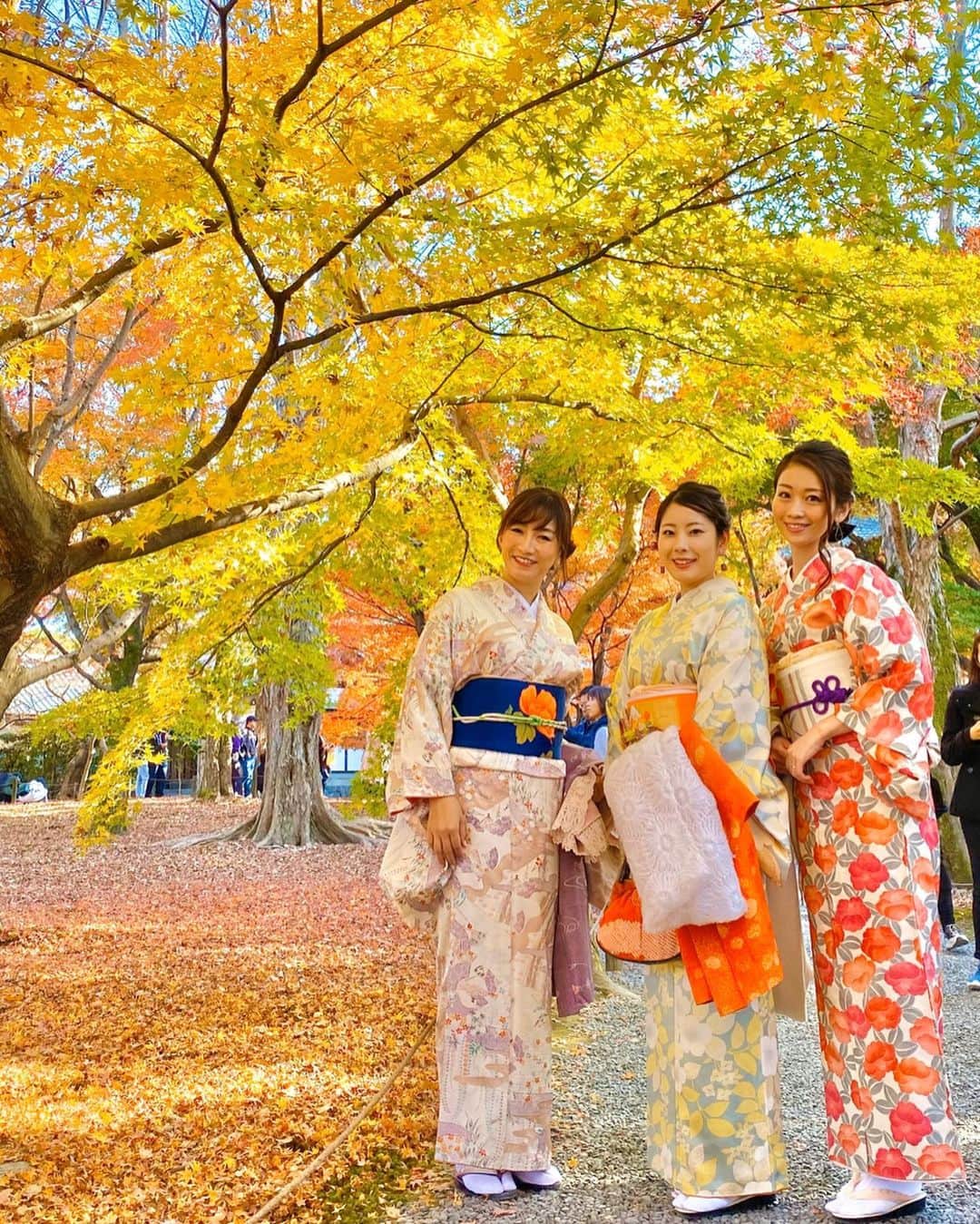 大寺かおりさんのインスタグラム写真 - (大寺かおりInstagram)「京都旅行⛩ 正絹のお着物で紅葉巡り🍁👘 . お天気も良くて 紅葉もキレイで 朝から夜まで めいっぱい楽しめました☺️ . 3人でお互い撮り合いっこしていたら 気付いたら写真の枚数が300枚😂 . やりたいこと、食べたいもの、 行きたい場所、全部つまった 大人の修学旅行。 . 本当に楽しかったです✨✨ . #京都 #東福寺 #清水寺 #紅葉 #着物 #正絹着物 #着物でお出かけ #京都旅行 #rsk #アナウンサー #ディレクター #3人旅行 #kyoto #japan #photo #photo_jpn #travelphotography #たくさん写真あるので #また載せようと思います☺️」12月4日 22時57分 - kaori_ootera