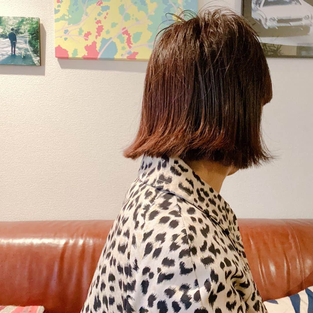 松尾たいこさんのインスタグラム写真 - (松尾たいこInstagram)「1ヶ月半ぶりにヘアサロンTwiggyへ。ヘアカット＆カラーリング。 またヘアスタイル変えちゃいました。数ヶ月ごとになぜか飽きてしまう。 前髪重め、耳の横までパッツン、外ハネボブです。  I went to the salon for the first time in a month and a half. And I changed my hairstyle again.  担当の松浦さんと相談して、最初は襟足短めボブにしようと思ってたのだけど、「まだやったことない髪型にしよう」ということになりました。 まだ見慣れないけれど、新鮮。 カラーはもうすこし明るいのもいいかなと思ったけど、カラー担当のステファンが「髪型がインパクトあるから色を入れるとやりすぎになるかも」ということで、渋めの栗色。  耳がバッチリ出ているので、またイヤーカフが大活躍しそうです。  最後に「来年もよろしく〜」と挨拶すると、いよいよ師走だなーって思います。 しかしTwiggyは芸能人多いわあ。  #japaneseartist #liveintokyo #artoftheday #happyart #loveart #lovejapan #hairsalon #hairstylechange」12月5日 8時32分 - taikomatsuo