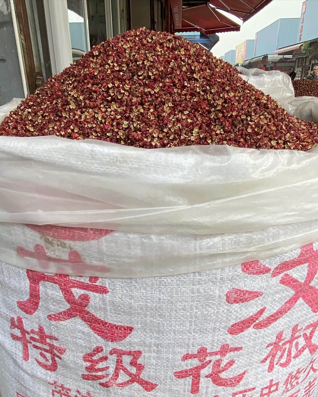 株式会社175さんのインスタグラム写真 - (株式会社175Instagram)「中国四川省🇨🇳 175担担麺に使用する特級花椒を 仕入れるべく直接現地に足を運び厳選し、本当に良質なものだけを手に入れております。 是非、175で本物の「痺れ」を体験しませんか？  #175deno  #担担麺 #担々麺 #ramen  #ラーメン #麺スタグラム #札幌ランチ #札幌グルメ #sapporo  #北海道 #花椒 #ランチ #痺れ #花椒 #マー活 #シビ辛 #四川料理 #食べログ百名店 #成都 #ginza  #激辛 #銀座グルメ #新宿グルメ #tokyo #四川 #おひとりさま #辛い #辛いもの好き #四川discover」12月5日 8時42分 - 175_deno