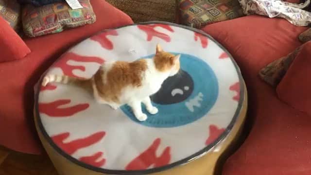 ミシカのインスタグラム