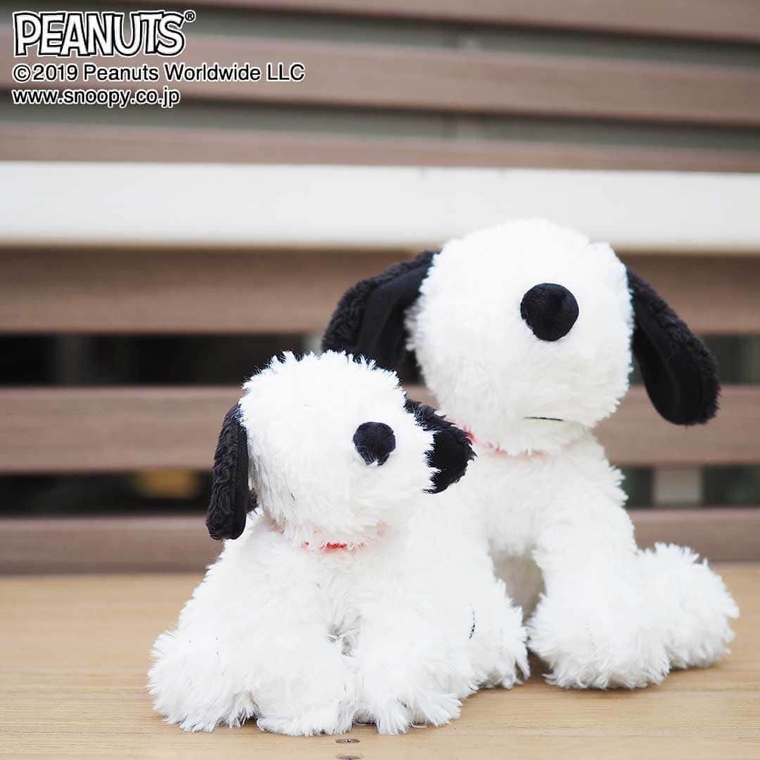 ワンズテラスのグルメインスタ