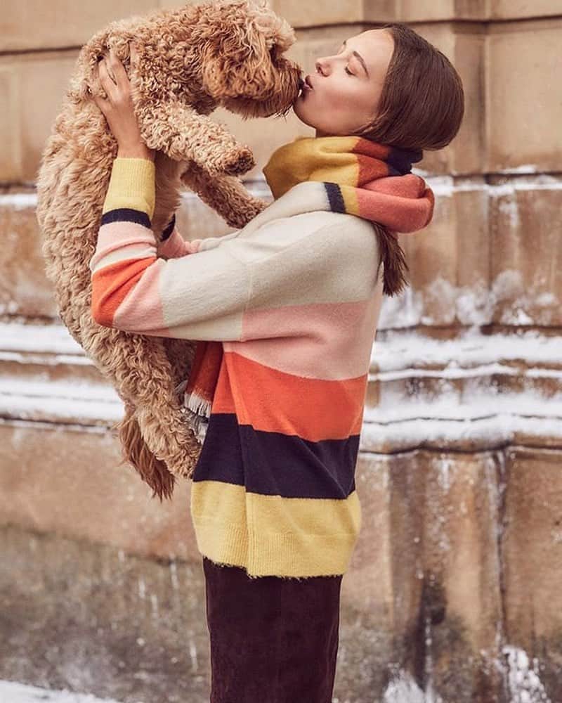 Nextさんのインスタグラム写真 - (NextInstagram)「#TIP: create the cosiest roll neck of ALL time by artfully matching your jumper to your scarf. This knitwear duo is from @oasisfashion. 😍 Tap to shop. 🔎 Dog: Unfortunately not included Jumper: 938899 Scarf: 963098 #knitwear #styletips #brandsatnext #cosy #winterwarmers」12月5日 5時11分 - nextofficial