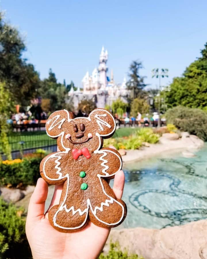 ディズニーランドさんのインスタグラム写真 - (ディズニーランドInstagram)「Happy #NationalCookieDay! We're celebrating with a Mickey Gingerbread Man Cookie 🍪 (📷: @thespeechchicks)」12月5日 5時39分 - disneyland