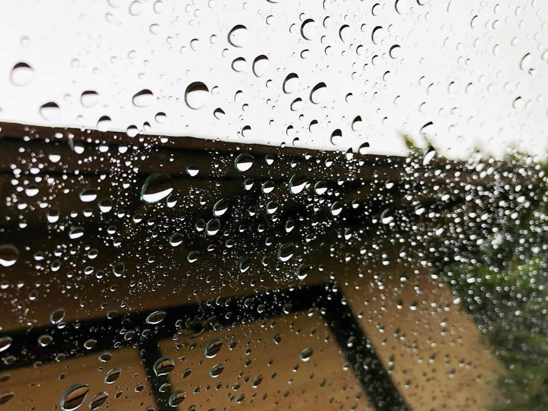 虎牙光揮さんのインスタグラム写真 - (虎牙光揮Instagram)「最近雨が多いLA☔️ #rainyday #LosAngeles #California #USA」12月5日 5時53分 - mickeykoga