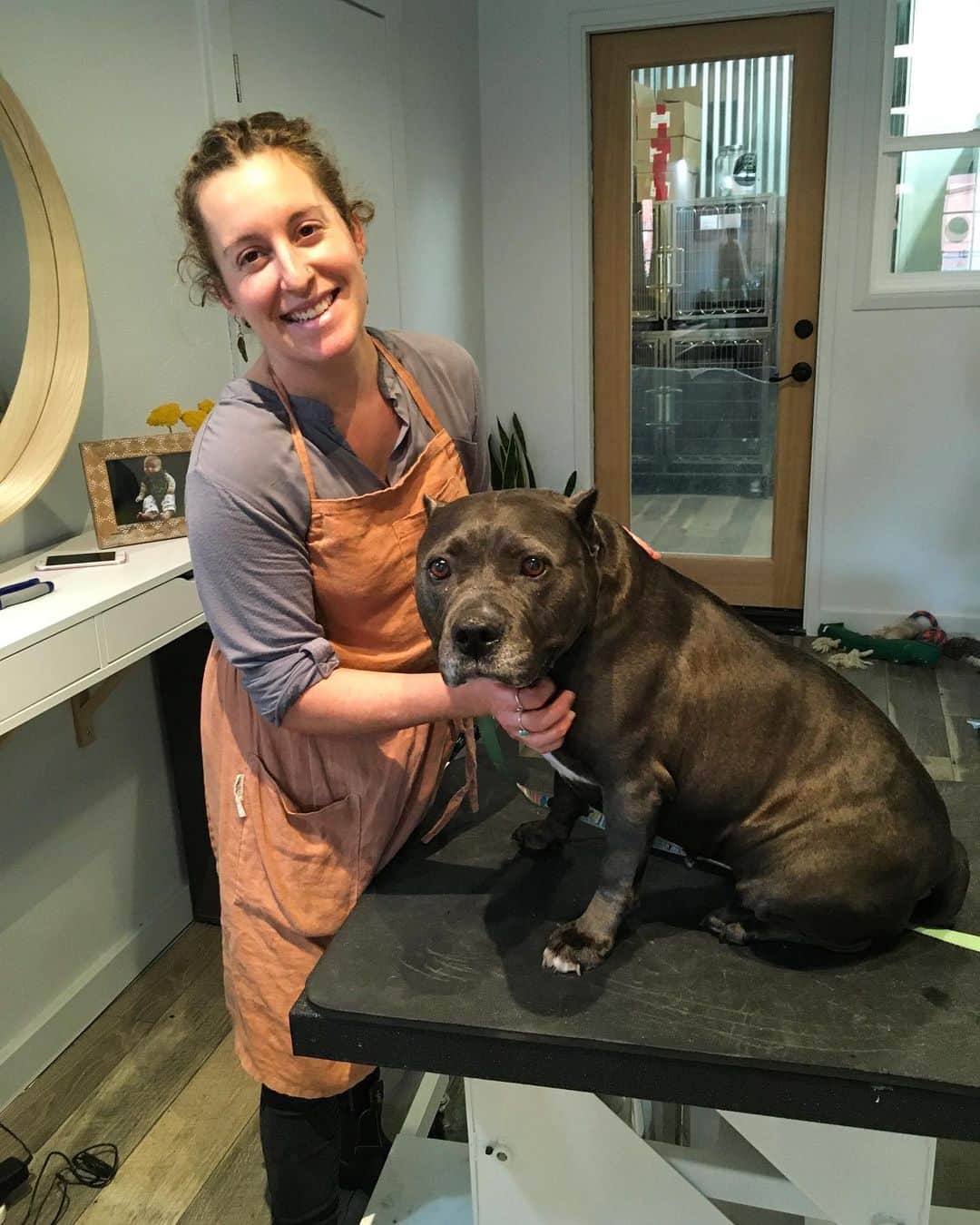 Dogs by Ginaのインスタグラム：「Uva 🍇 came in for a walk-in mani/pedi and we all fell in love. #velvethippo #pibble」