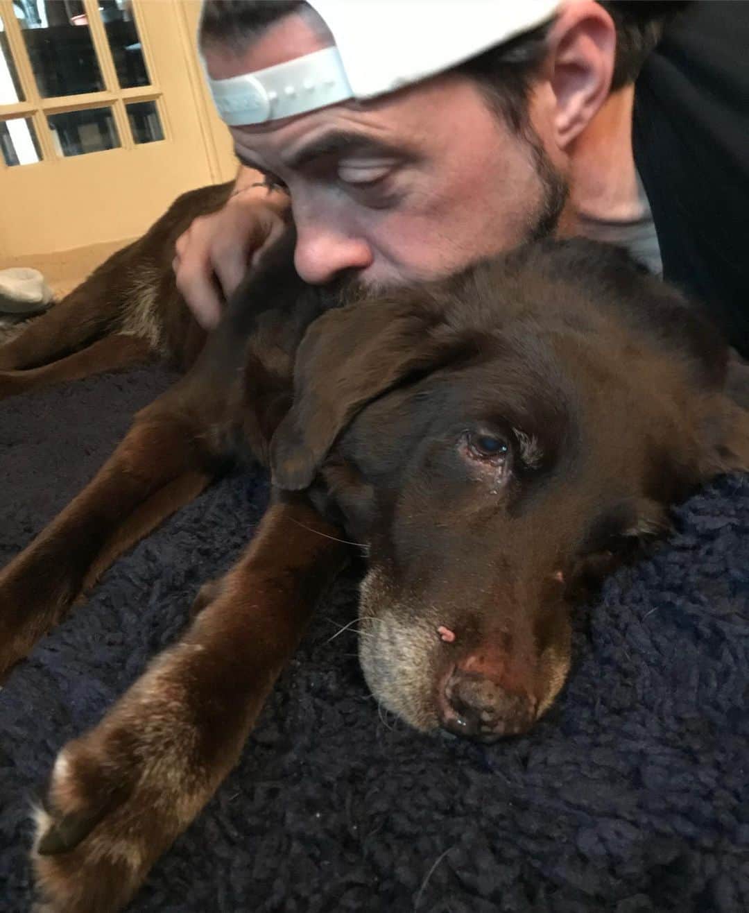 ケヴィン・スミスのインスタグラム：「Good Girl. In the comfort of her own home, with a belly full of meats and treats, while being petted by her entire family, Louis Vuitton Schwalbach Smith passed away this morning. She came into our lives on January 1st, 2004, as the sweetest and most curious little scientist on four legs. Louis became Byron and Gail’s de facto doggo, until Jen’s parents started spending more time In Hawaii. When Pouis rejoined life on our floor of the house, she always regarded us as peculiar - studying Jen and I more so than cuddling up to us. For the last year, I’ve been acting as her back legs - so we all knew the clock was ticking. After losing 3 Labs to old age, I have a take on the expense of owning a canine: Dogs are free - only their departure is ever costly. Fare the well, Louis! While you may have left our world today, you will remain in your family’s hearts forever. You were an amazing friend and dog who made us all better people. I miss you already. I will miss you all the days of my life. #KevinSmith #dog #dogsofinstagram #louisvuitton」