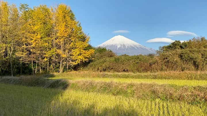 phantastic420のインスタグラム：「. 🤩🤩“Shizuoka” prefecture in Japan is a place where you can see the most “phantastic” Mt. Fuji🗻 in the world.🤩 #富士山 #mtfuji #japan #shizuoka #fujinomiya  #phantastic420photography #mostphantasticmtfuji #selamatpagi  #goodmorning  #おはようございます 😇😇😇😇😇😇😇🗻😇😇😇😇 まだまだ知らない良いところがたくさんあるなぁ〜🤣」