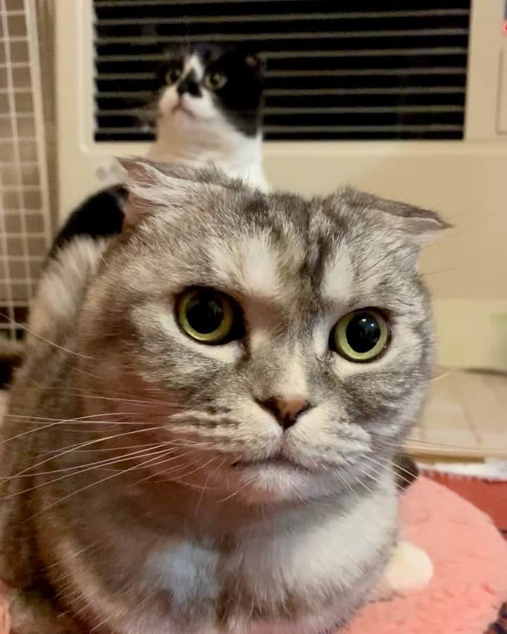 tiaichimaのインスタグラム