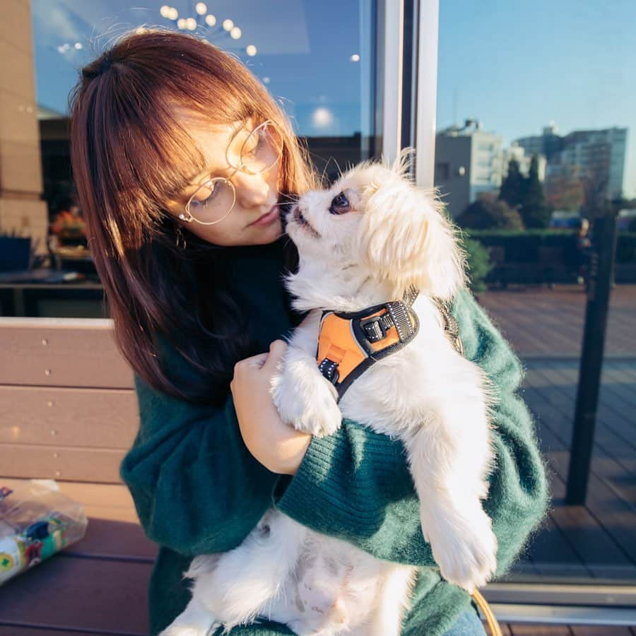 石田ニコルさんのインスタグラム写真 - (石田ニコルInstagram)「My lovely fluffy cutie pie❤️ #ぺったんれい @pettan_lei」12月5日 17時50分 - nicole_ishida