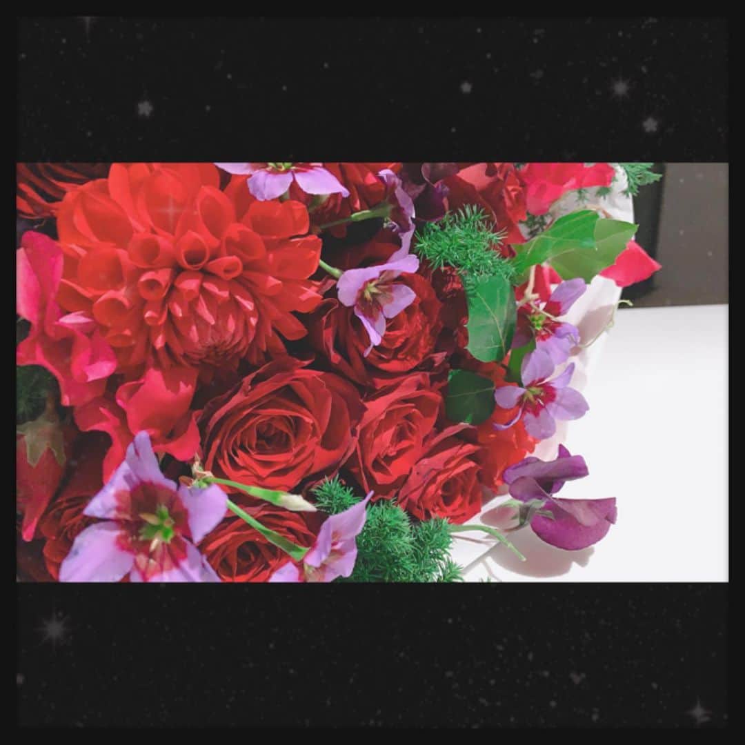 知華さんのインスタグラム写真 - (知華Instagram)「2019.12.05 blue rose 33🥀 red rose&Dahlia🌹  #birthday #birthdayflowers #rose #bluerose #青い薔薇#tomocagarden🌹🌹 #誕生日の花」12月5日 18時03分 - tomoca1204