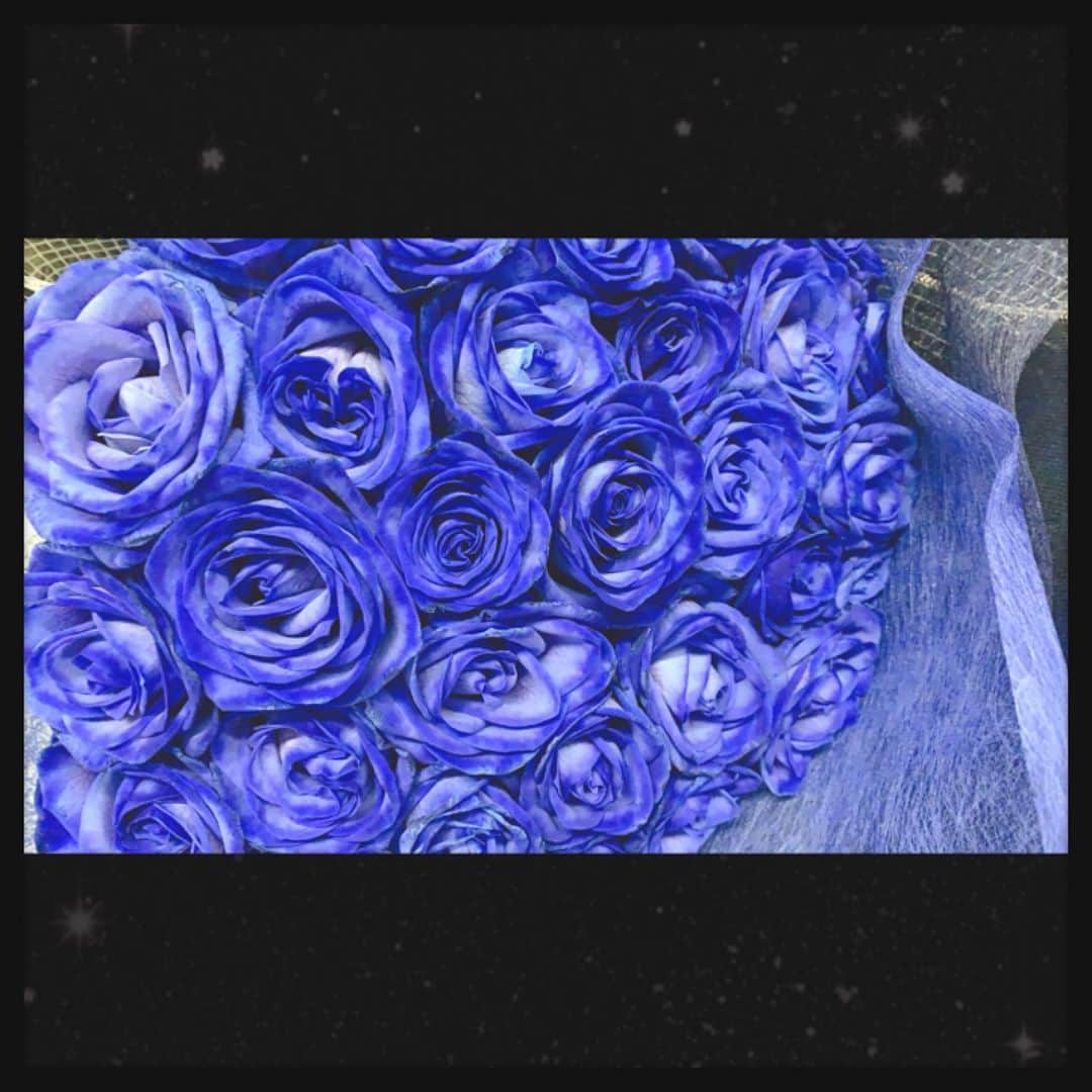 のインスタグラム：「2019.12.05 blue rose 33🥀 red rose&Dahlia🌹  #birthday #birthdayflowers #rose #bluerose #青い薔薇#tomocagarden🌹🌹 #誕生日の花」