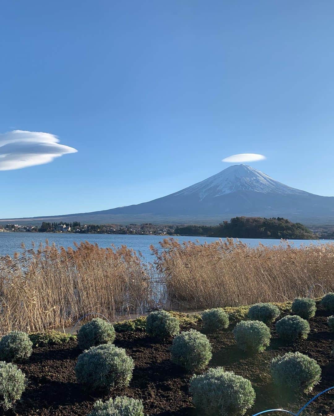 森直美さんのインスタグラム写真 - (森直美Instagram)「先日のすばらしい富士✨富士山の美しい雪や滑らかな雲をみるとソフトクリーム食べたくなるの私だけでしょうか🍦#ふじさん#富士山」12月5日 17時57分 - naomi_mori63