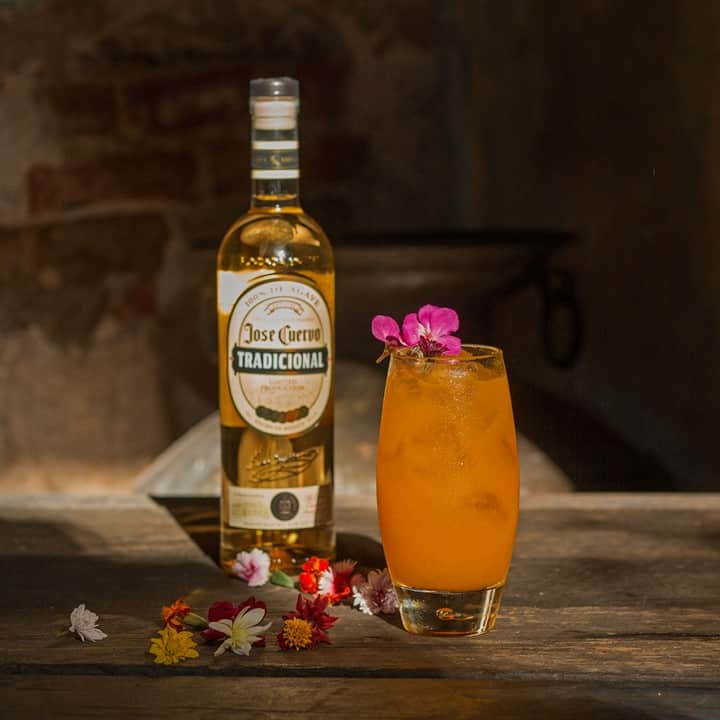 Jose Cuervo Japanのインスタグラム