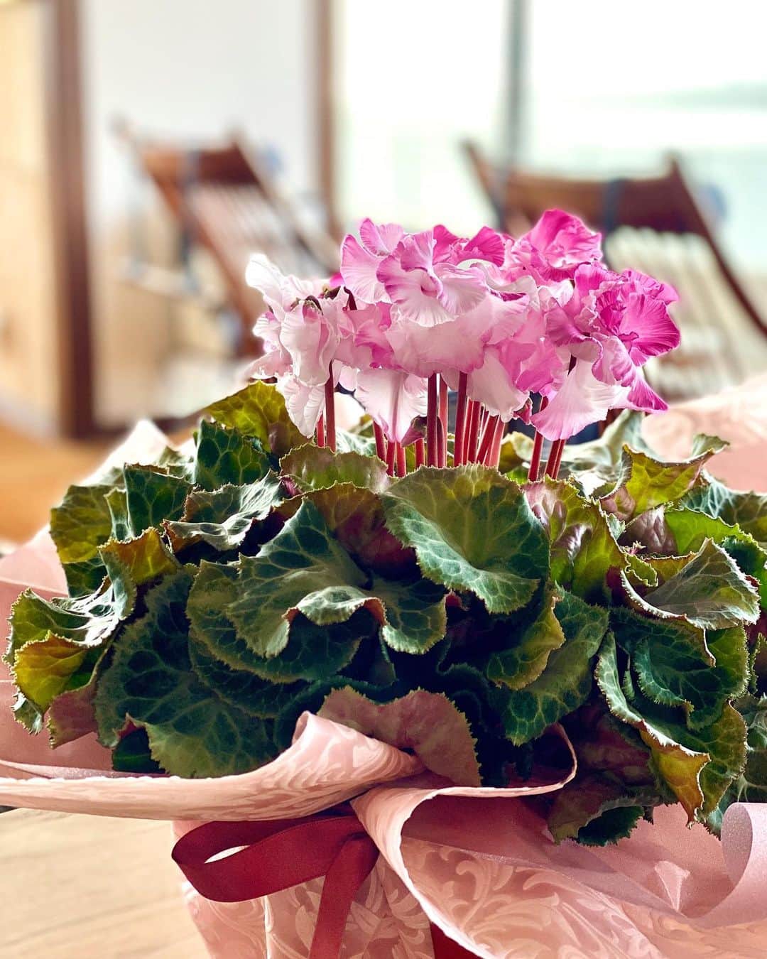 祥吉のグルメインスタ