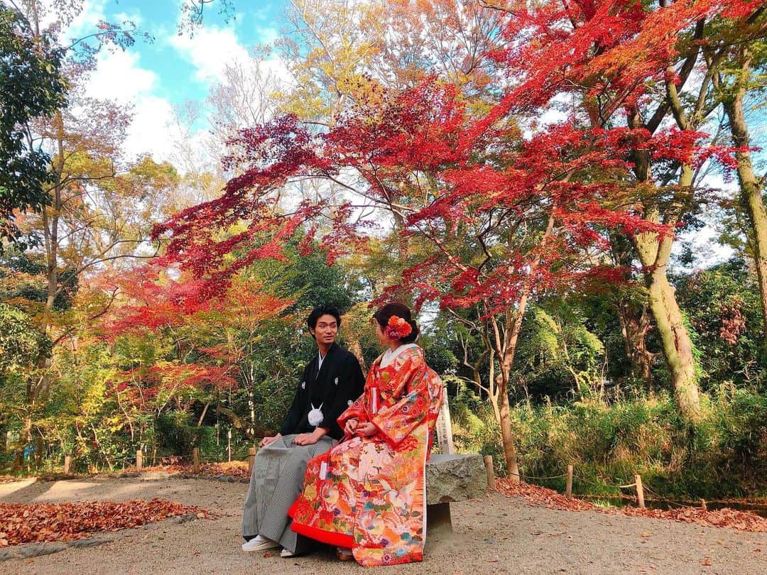 TAKAMI BRIDAL 神社和婚のインスタグラム：「WAKON Concierge (和婚コンシェルジュ)開催決定！ @kamomioyajinja  今回は下鴨神社専属プランナーによる 挙式プランの提案や式場説明、  京都市内の人気披露宴・会食会場の 見学相談があわせて出来るチャンスとなります！  普段入ることが出来ない、 下鴨神社直会殿での特別な挙式相談会。  ご予約優先制となりますので、 皆様からの事前のお問い合わせお待ちしております。 ------------------------------------------------------- WAKON Concierge(和婚コンシェルジュ) 詳細 開催日：2019年12月14日(土) 　2019年12月15日(日) 場所　：下鴨神社　直会殿 時間　：11:00〜 /  13:00〜 /  15:00〜 ※下鴨神社挙式検討のお客様へのイベントとなります。 ------------------------------------------------------- お問い合わせ窓口 TAKAMI BRIDAL KYOTO TEL : 075-351-7722 MAIL: kyoto@takami-bridal.com ------------------------------------------------------- #和婚コンシェルジュ #WAKONConcierge #ブライダルフェア #式場見学 #式場探し  #プレ花嫁 #日本中のプレ花嫁さんと繋がりたい #結婚式 #神前式 #和婚 #神社婚 #白無垢 #色打掛 #京都 #タカミブライダル #TAKAMIBRIDAL #takamibridal  #関西花嫁 #大阪花嫁 #京都花嫁 #下鴨神社 #2020春婚 #2020夏婚 #2020秋婚」