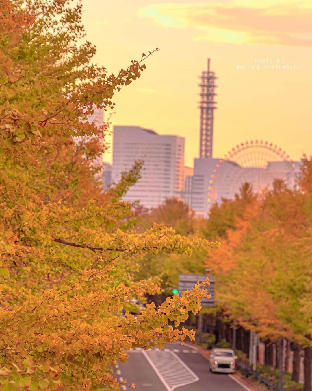横浜市さんのインスタグラム写真 - (横浜市Instagram)「Autumn hues in Minato Mirai. Photo: @_miya29_ #myyokohama」12月5日 18時46分 - findyouryokohama_japan