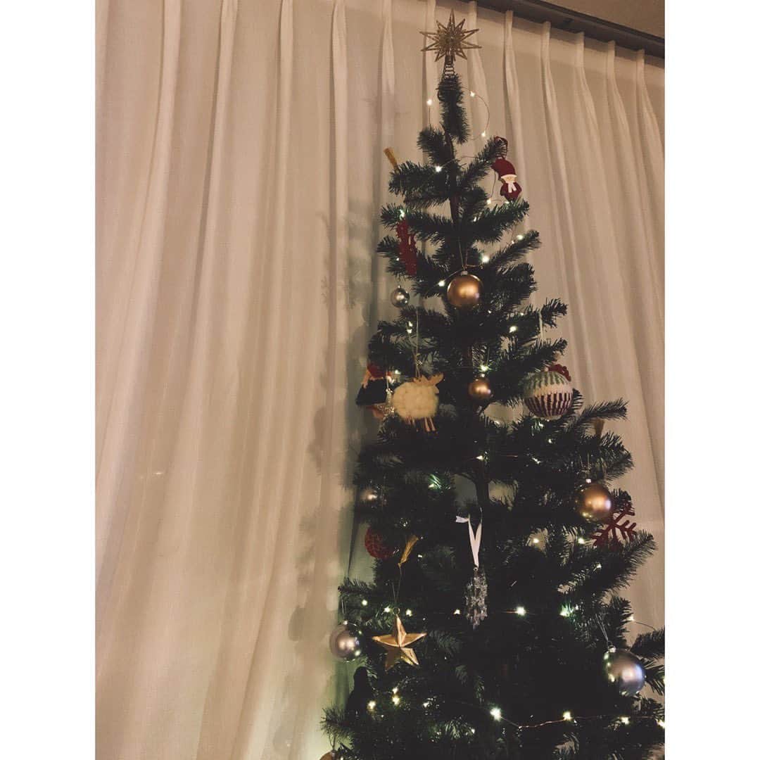 佐々木希さんのインスタグラム写真 - (佐々木希Instagram)「クリスマスツリー🎄 組み立てが楽で大きめのを探していて、#IKEA で購入。  #クリスマスツリー」12月5日 10時23分 - nozomisasaki_official
