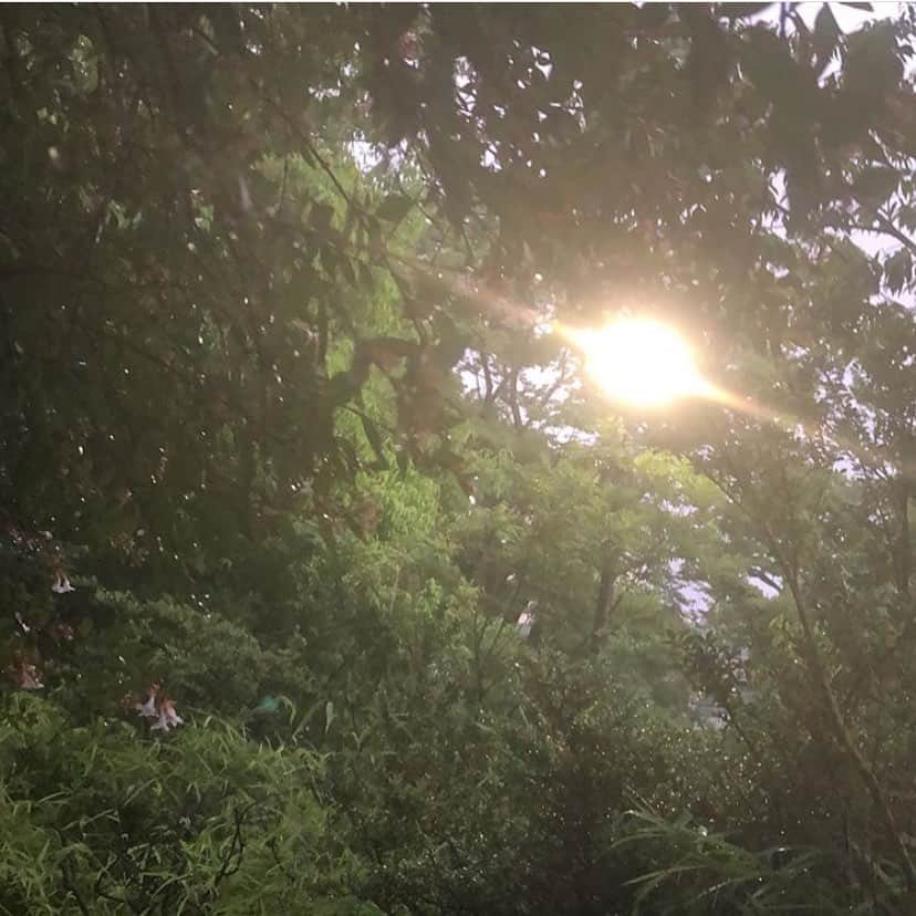 YUAのインスタグラム：「The day I saw 🛸」