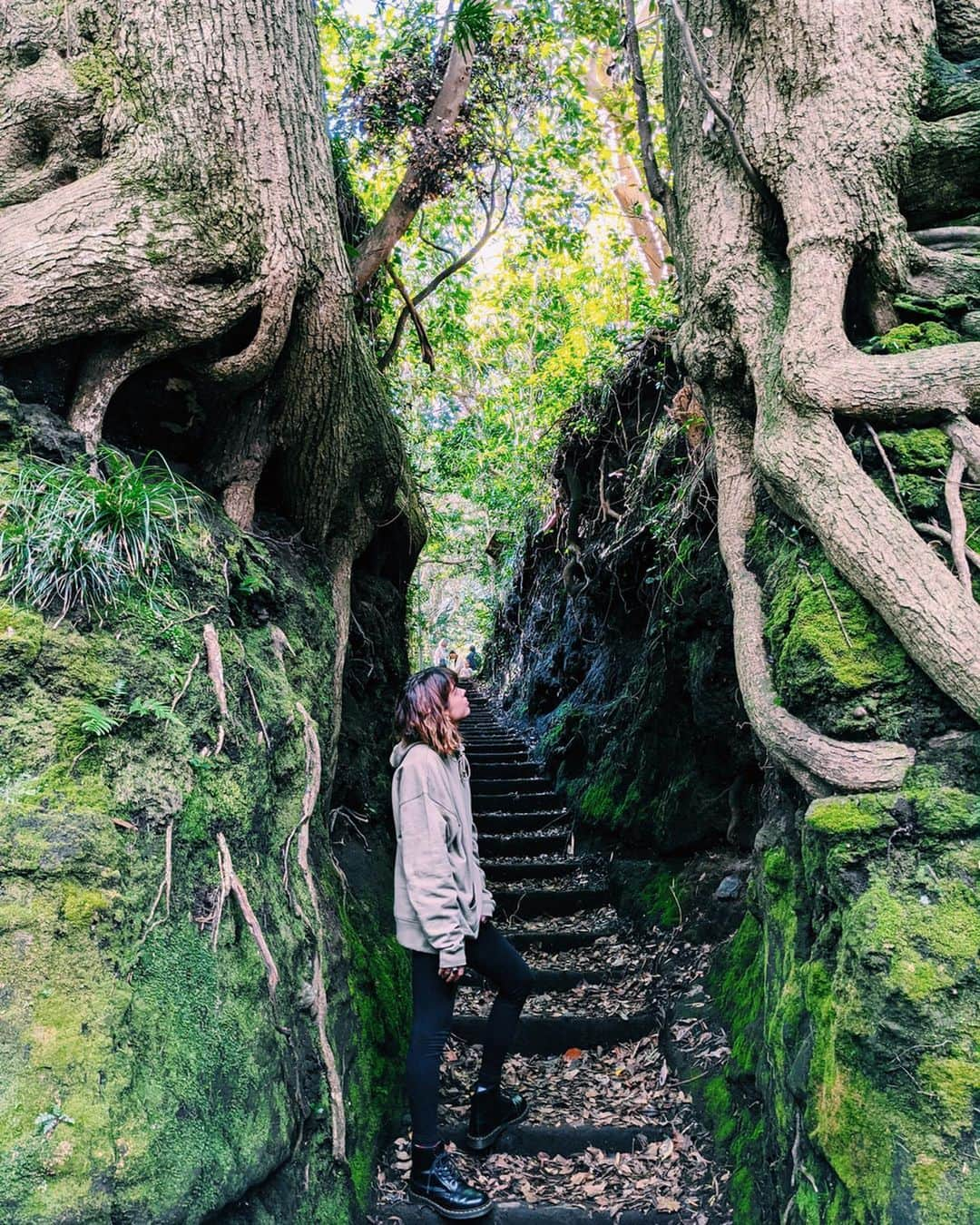 Satomi Biancaさんのインスタグラム写真 - (Satomi BiancaInstagram)「🏝🌼⛰💕 ・ ・ バームクーヘンと呼ばれてる ＂地層切断面＂やパワースポットと言われてる＂泉津の切り通し＂など美しい風景が沢山ある伊豆大島🏝🏝 ・ 熱海からフェリーで45分で着いちゃうぐらい近くてビックリ✨ ・ べっこう寿司も明日葉も美味しすぎてみんなでハマった🍣🌿 ・ ・ 1枚目はSPEED風w 2枚目はDA PUMP意識して〜！って言ったらジャンプしたMENS達🤣🤣 ・ ・ ・  #pixelで撮影 #googleのスマホ #teampixel #teampixelの旅 #伊豆大島 #伊豆大島旅行 #バームクーヘン #泉津の切通し」12月5日 10時58分 - satobyyyy