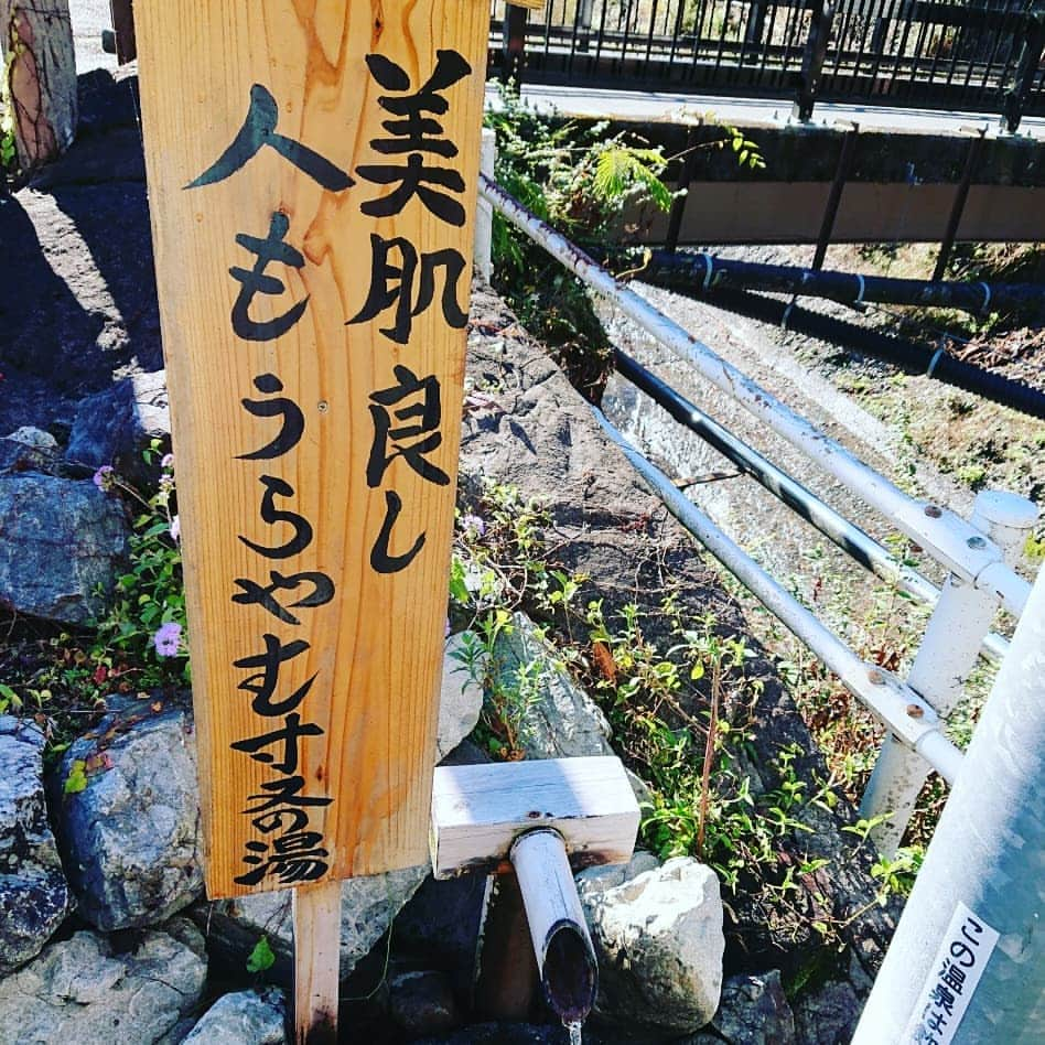 kawanepassportさんのインスタグラム写真 - (kawanepassportInstagram)「夢の吊橋が有名になりすぎて 若い人たちの間で意外に知られていないのが、寸又峡が温泉地であること。  美女づくりの湯として知られる寸又峡温泉。  南アルプスの麓から沸きだす 硫化水素系、単純硫黄泉。  肌がつるつるすべすべになることから、美女づくりの湯と呼ばれています。  せっかく来たなら入らないともったいない！  町営の露天風呂のほかに、 各旅館で日帰り温泉もやってます♨️ 写真は翠紅苑(すいこうえん）、光山荘(てかりさんそう)、 民宿深山(みやま)の３軒。  吊り橋まで歩いて疲れた体をぜひぜひ美女づくりの湯で癒して帰ってくださいね🙆  もちろん、宿泊も大歓迎✌️✌️ #川根本町 #寸又峡温泉 #夢の吊橋  #日帰り温泉 #温泉旅館 #美女づくりの湯  #翠紅苑 #光山荘 #民宿深山」12月5日 11時11分 - kawane_passport