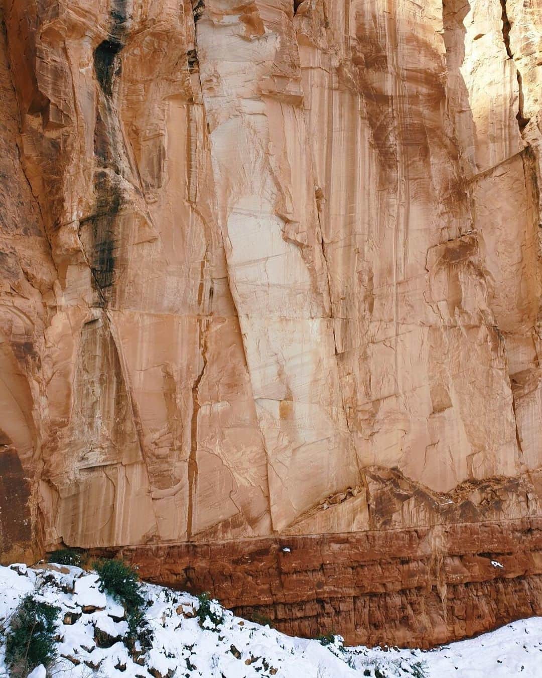 吉川プリアンカさんのインスタグラム写真 - (吉川プリアンカInstagram)「ずっと行きたかったグランドキャニオンへ😆😆アンテロープは次までのお楽しみ♥️wifiも電波もなくて、大自然にたっぷり癒されてきました✨ ⠀ ⠀ Finally got to go explore the Grand Canyons! Thank you Mother Nature for this beauty, can’t wait to go see the Antelope Canyons next time💖 ⠀ ⠀ #grandcanyon #hiking #Arizona #Priyankatravels #グランドキャニオン #アメリカ #アリゾナ #ハイキング」12月5日 12時54分 - priyankayoshikawa