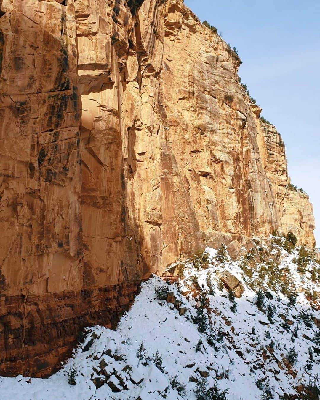 吉川プリアンカさんのインスタグラム写真 - (吉川プリアンカInstagram)「ずっと行きたかったグランドキャニオンへ😆😆アンテロープは次までのお楽しみ♥️wifiも電波もなくて、大自然にたっぷり癒されてきました✨ ⠀ ⠀ Finally got to go explore the Grand Canyons! Thank you Mother Nature for this beauty, can’t wait to go see the Antelope Canyons next time💖 ⠀ ⠀ #grandcanyon #hiking #Arizona #Priyankatravels #グランドキャニオン #アメリカ #アリゾナ #ハイキング」12月5日 12時54分 - priyankayoshikawa