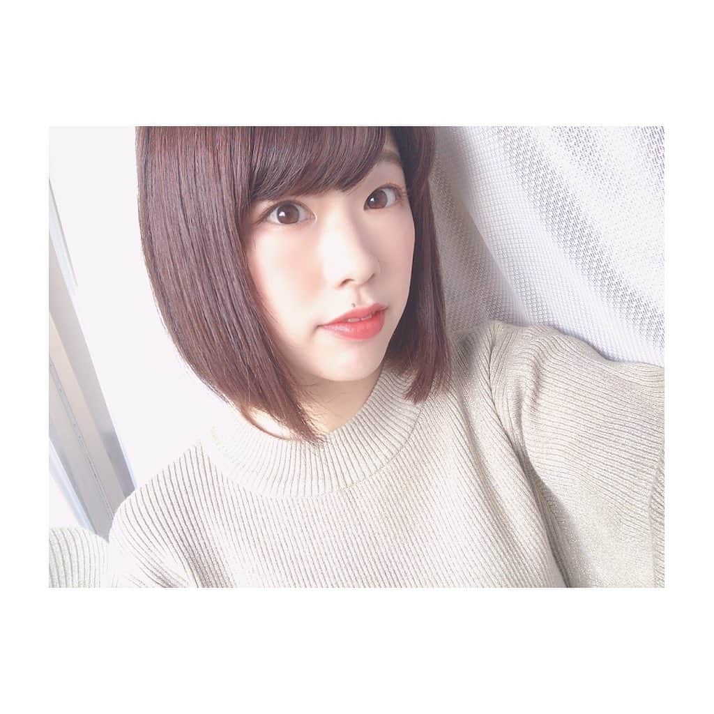 栗原ひとみのインスタグラム：「髪を切りましたん✂️✂️ 安定だけど久々の前下がり。 . . . . #おかえり #ショートボブ #安定 #hairstyle #shorthair #cut #haircolor #instagood #followｍe」