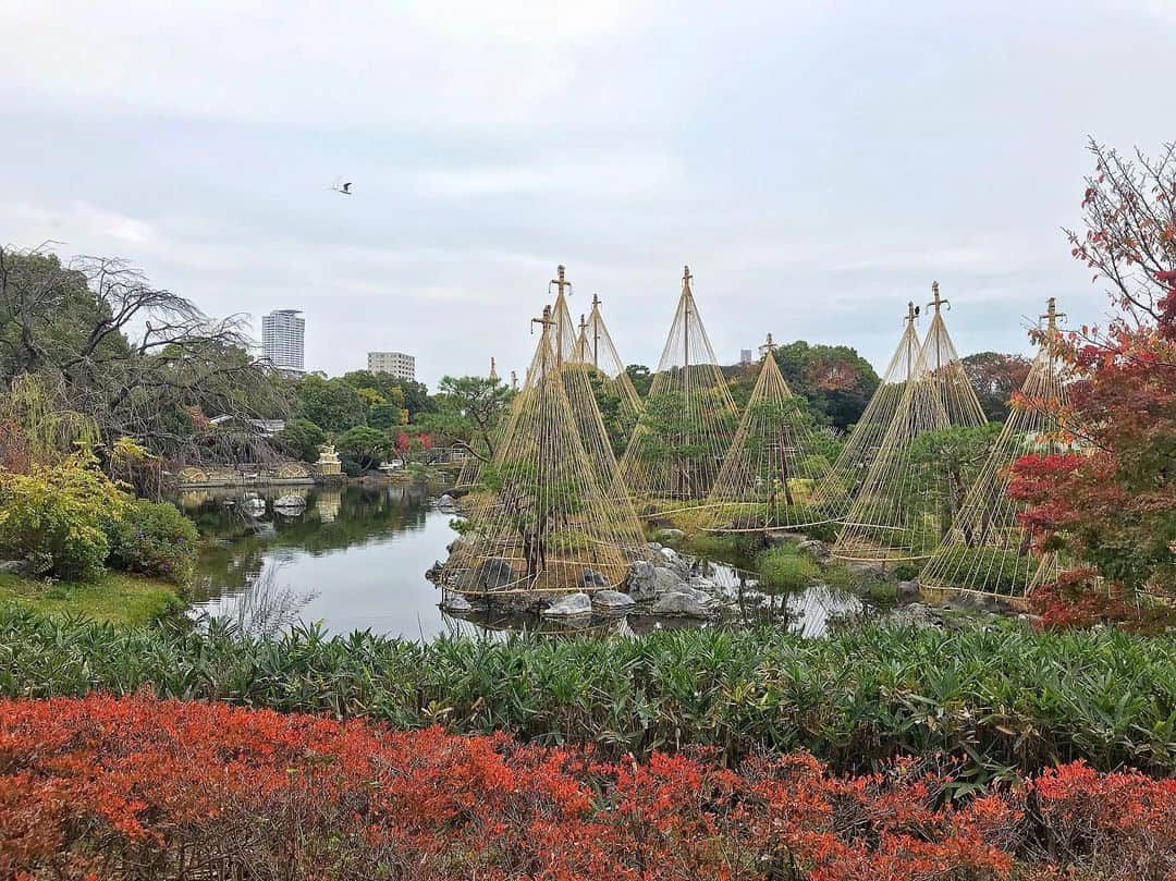 のインスタグラム：「. この写真もお気に入り🥰 마음에 드는 사진들🥰 My favorite photos.  #名古屋#白鳥庭園#나고야#시로토리정원#nagpya#shirotorigarden」
