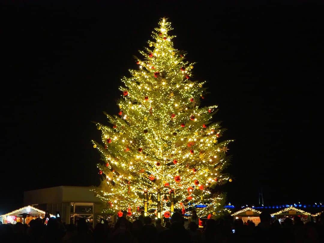 多胡安那さんのインスタグラム写真 - (多胡安那Instagram)「横浜の赤レンガ倉庫がスゴイ。 クリスマスシーズンは特に華やかで大好きです。 YOKOHAMAライトアップは映えます。 #気象予報士#夜景観光士#夜景#横浜夜景#みなとみらい#赤レンガ倉庫#クリスマスシーズン#イルミネーション#YOKOHAMA」12月5日 13時30分 - tagoanna